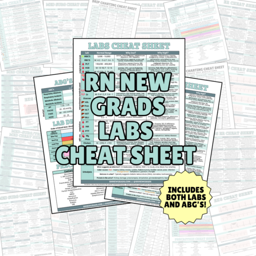 Labs Cheat Sheet Product Photo (1)