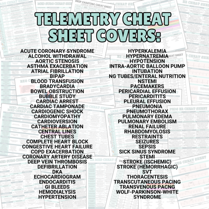 Telemetry Cheat Sheet Product photo List 2